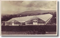 Mountain View Nurseries